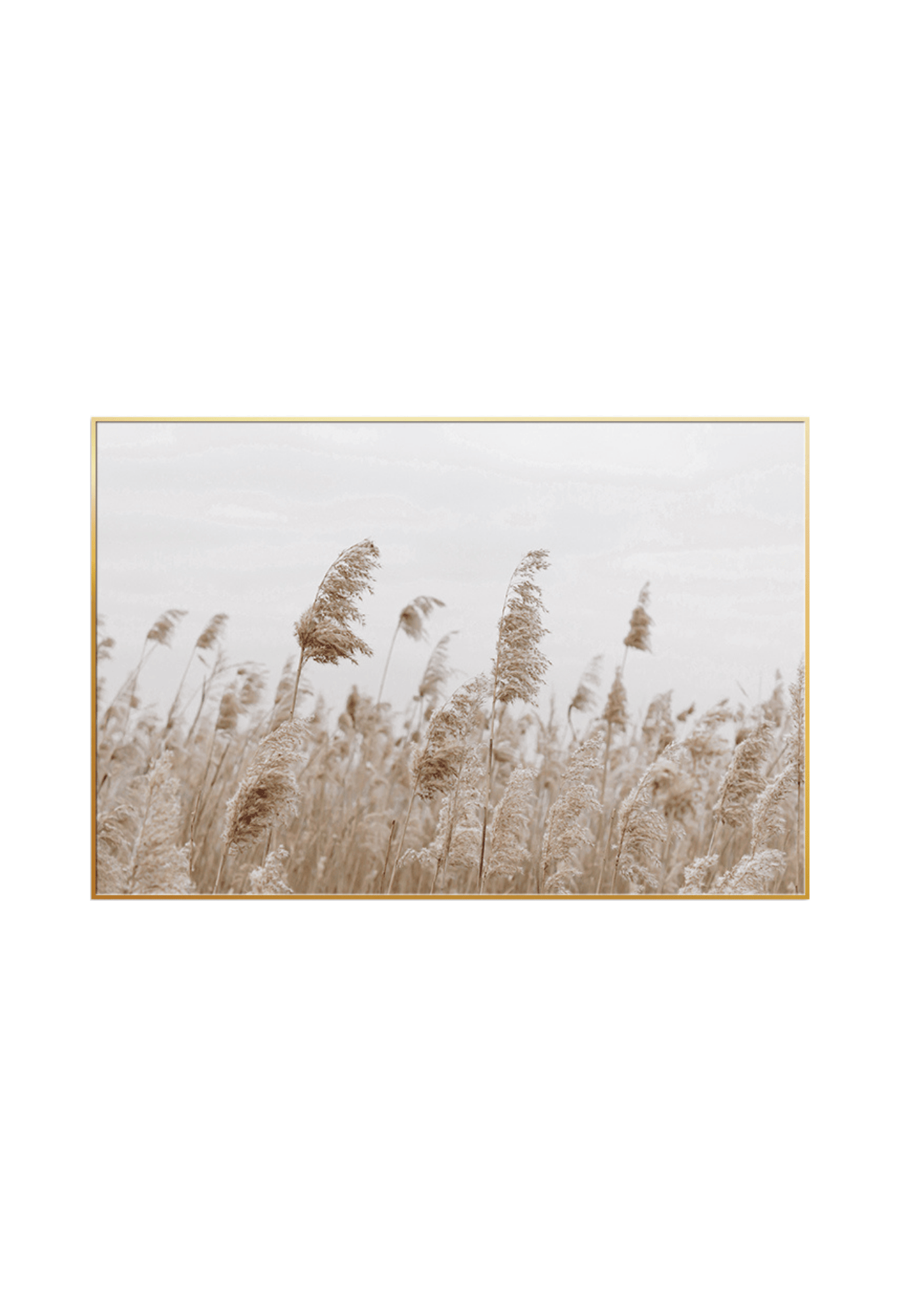 An 80x120 cm pampas grass canvas print wall art panel depicting minimalist fluffy botanical reeds swaying in a field with a neutral beige and cream backdrop for modern living room decor.