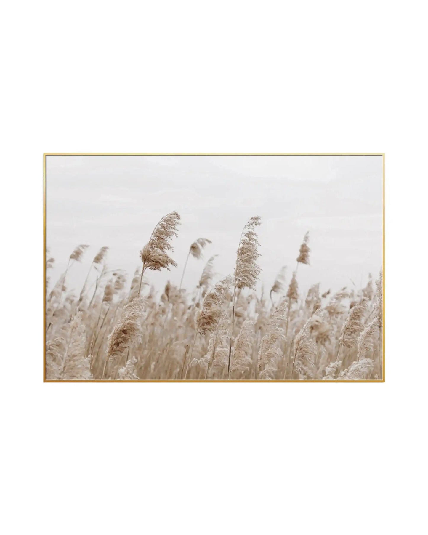 Botanical canvas print featuring a serene field of feathery pampas grass and soft reeds swaying gently against a minimalist cream and off-white sky background.